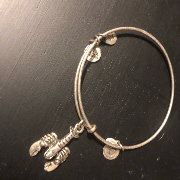 Alex and Ani Jewelry - 🦞 Alex and Ani bracelet